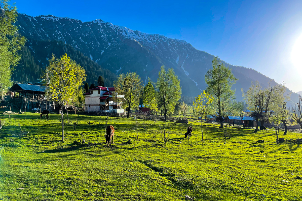 Best Budget Holiday Packages in India