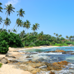 Best Honeymoon Packages in India